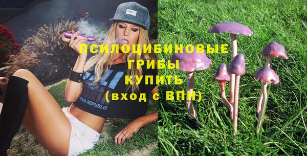 шишки Балахна