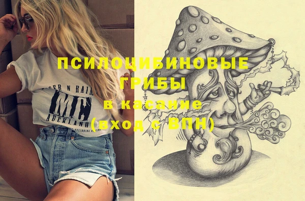 шишки Балахна